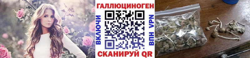 Псилоцибиновые грибы прущие грибы  площадка формула  Абаза 